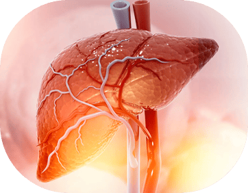 Foto Hepatectomia