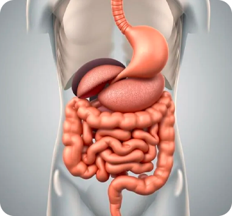 Foto Cirurgia do aparelho digestivo